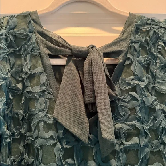 Anthropologie Sarah Hann green blouse with tie back - size small - Picture 4 of 6